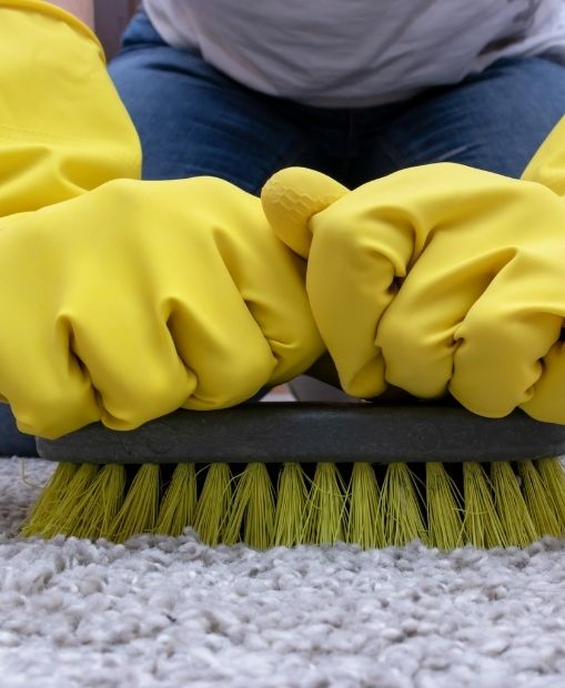 carpetcleaningpic