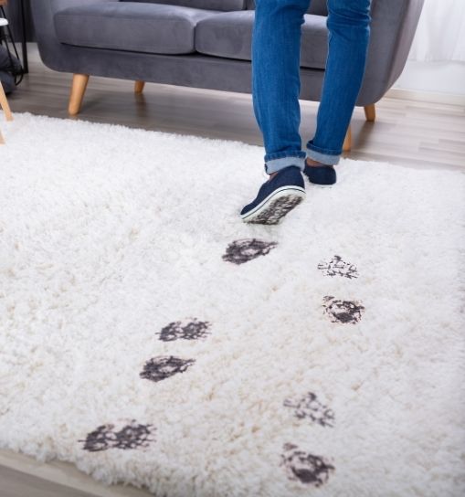 rugprotection