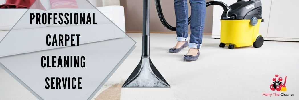 Professional Carpet Cleaning Service Professional Carpet Cleaning Service