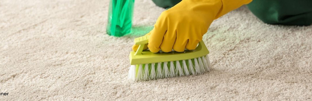 Why You Should Always Keep Your Carpets Clean