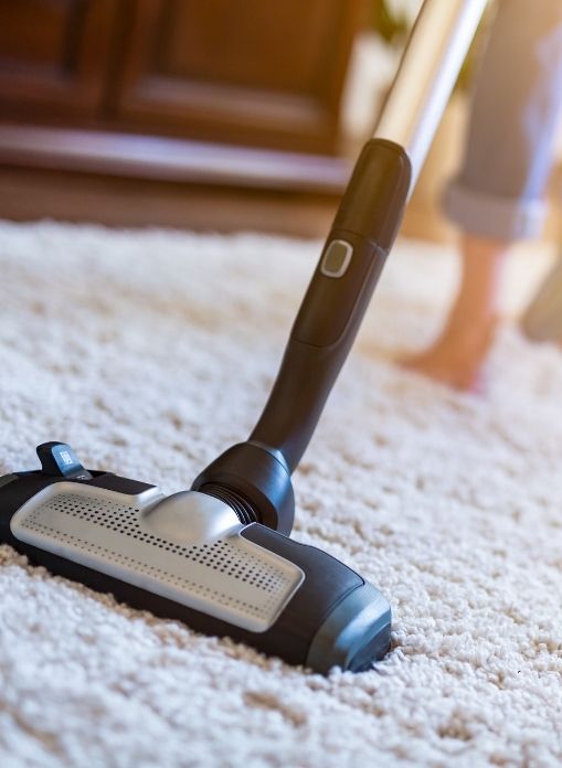 clean carpet