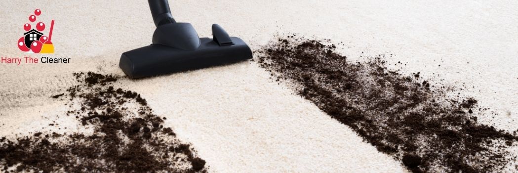 carpet cleaner cost