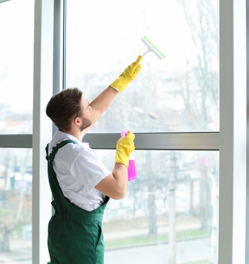 Excellence in Window Cleaning Excellence in Window Cleaning