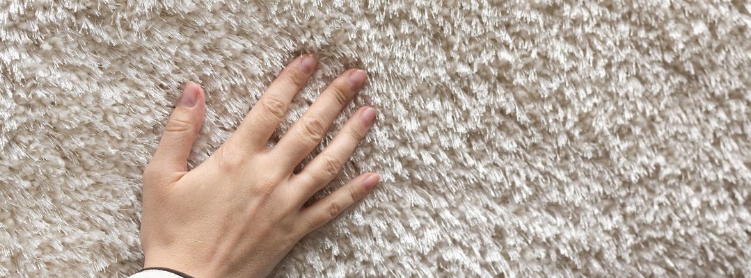 Carpet