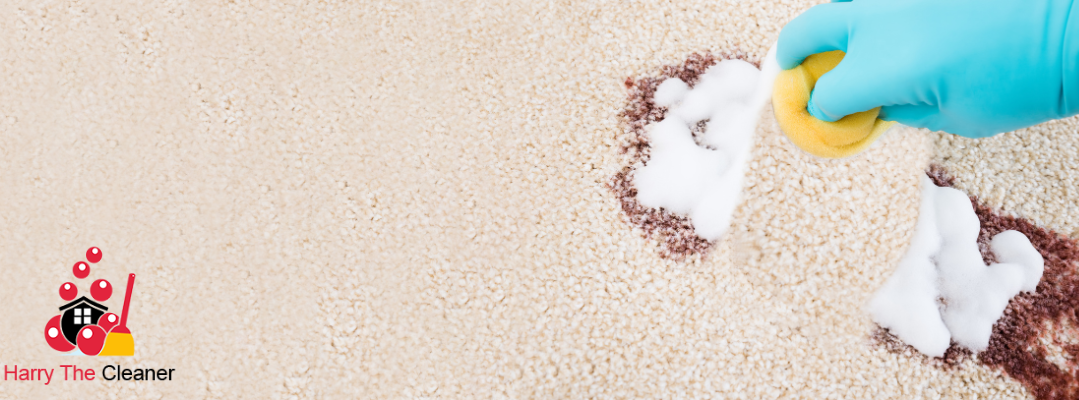 Most Common Carpet Stains And How To Remove Them Most Common Carpet Stains And How To Remove Them