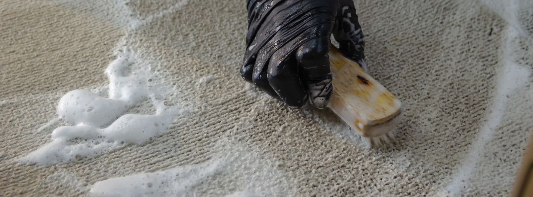 Scrubbing Carpet