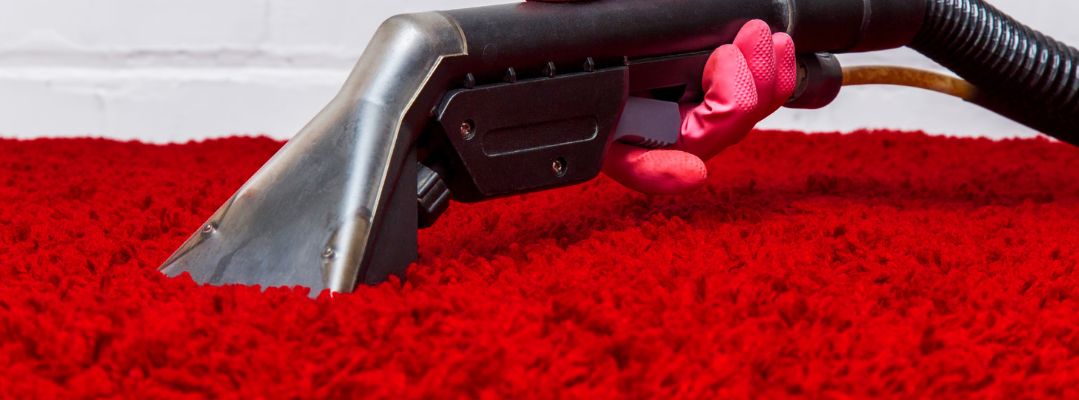Carpet cleaning