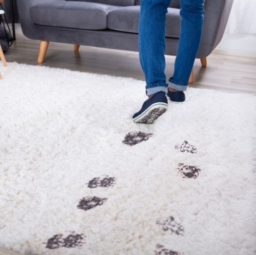 Spotless And Dust Free Rugs Spotless And Dust Free Rugs