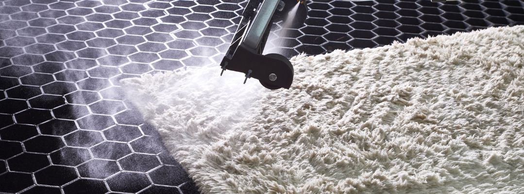 What Is Hot Water Extraction Cleaning Carpet Extraction method