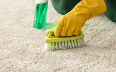 Carpet Cleaning Mistakes To Avoid At All Costs