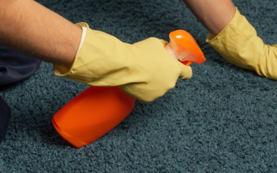 Key Tips and Techniques for Keeping Your Carpets Clean in Winter