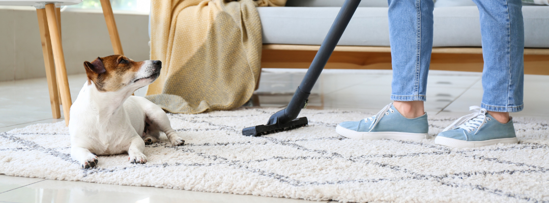 Promote Regular Cleaning Habits