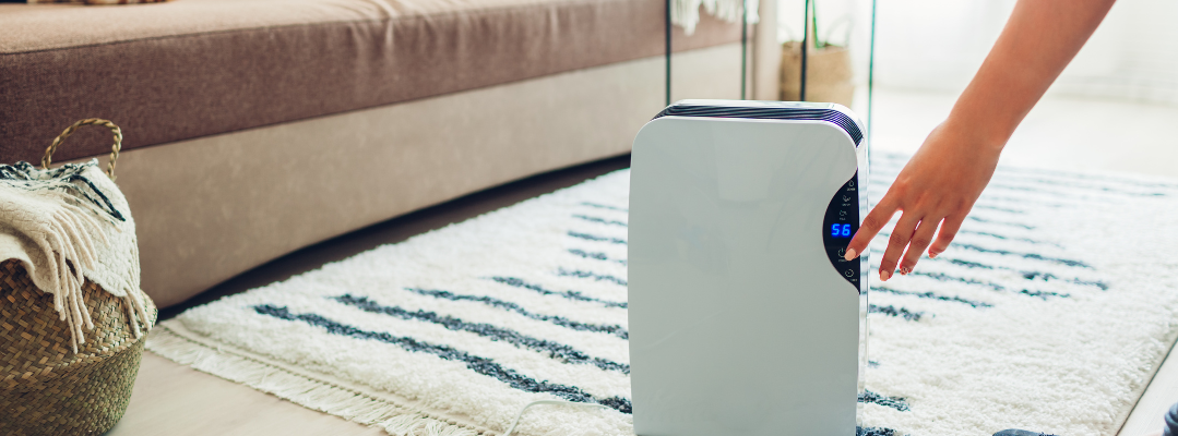 Use A Dehumidifier Use A Dehumidifier<br />