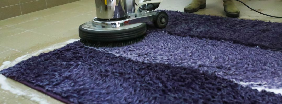 DIY vs. Professional Carpet Cleaning