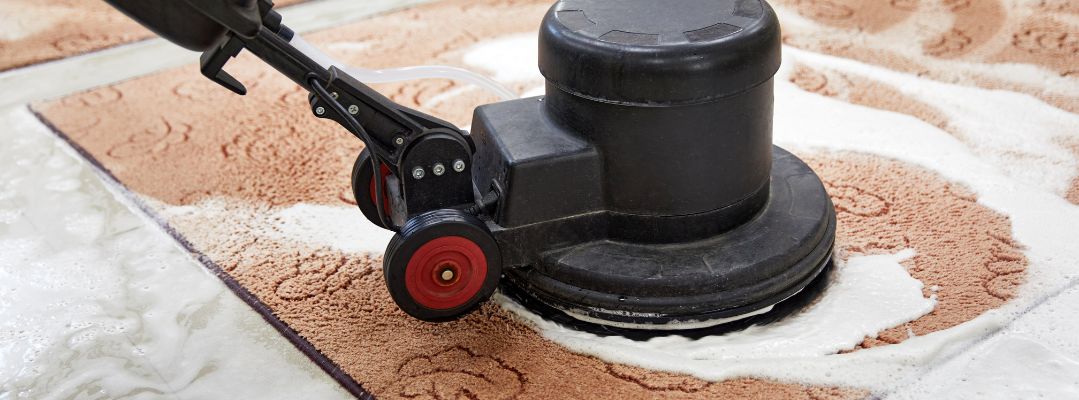 How Much Does Carpet Cleaning Cost?