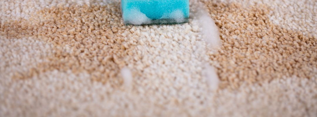 Oil Stains Carpet