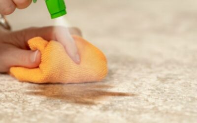 How to Remove Paint Stains from Your Carpet