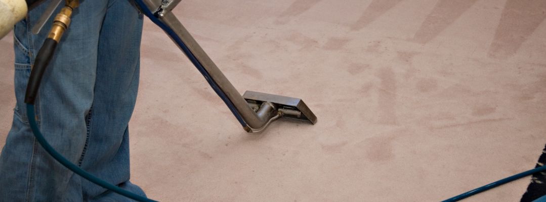Professional Carpet Cleaning Professional Carpet Cleaning